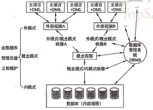 軟考學(xué)習(xí)記錄 系統(tǒng)架構(gòu)設(shè)計(jì)師教程 第二章 計(jì)算機(jī)網(wǎng)絡(luò)基礎(chǔ)知識(shí)筆記